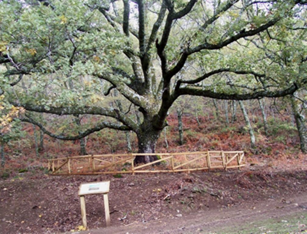 卡拉巴扎斯乡村民宿 Barrado 客房 照片